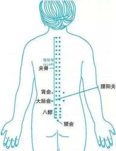 背穴|夾脊穴位置 